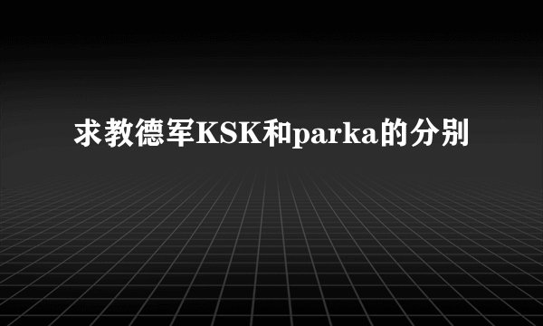 求教德军KSK和parka的分别