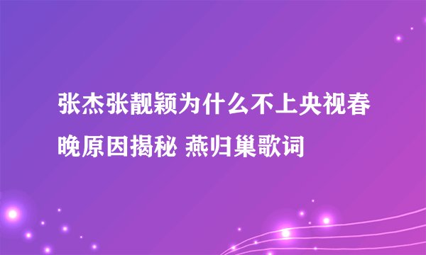张杰张靓颖为什么不上央视春晚原因揭秘 燕归巢歌词