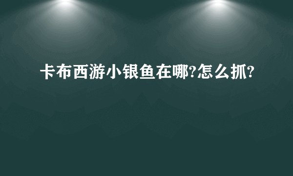 卡布西游小银鱼在哪?怎么抓?