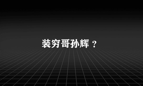 装穷哥孙辉 ？