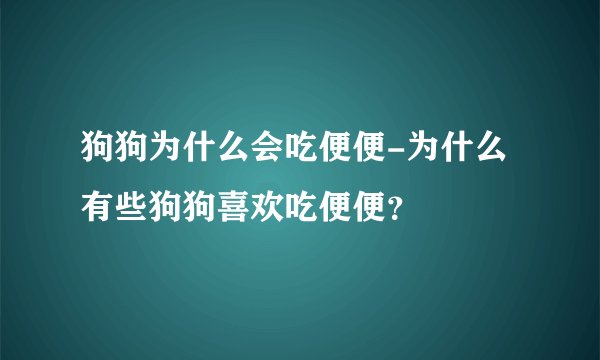 狗狗为什么会吃便便-为什么有些狗狗喜欢吃便便?