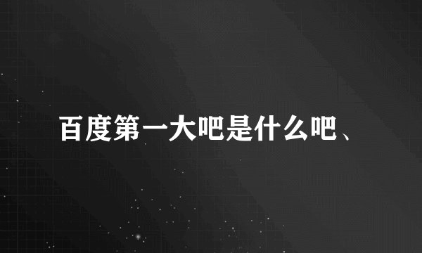 百度第一大吧是什么吧、