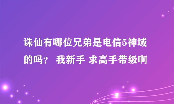 诛仙有哪位兄弟是电信5神域的吗？ 我新手 求高手带级啊