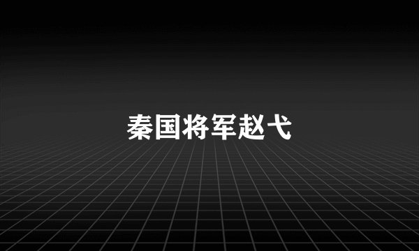 秦国将军赵弋