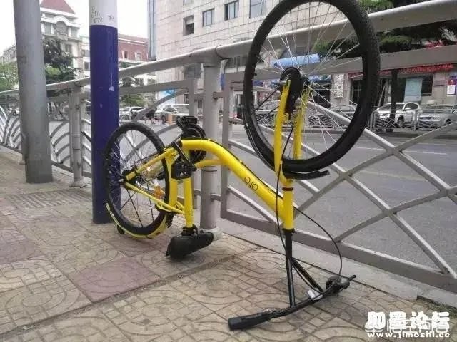路上这么多共享单车,你发现有哪些停在无比奇葩的地方?