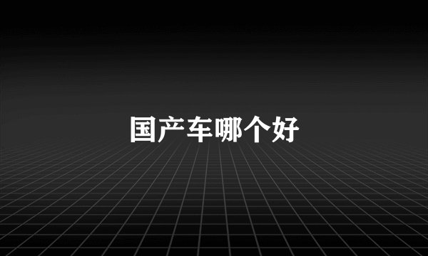 国产车哪个好