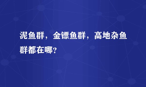泥鱼群，金镖鱼群，高地杂鱼群都在哪？