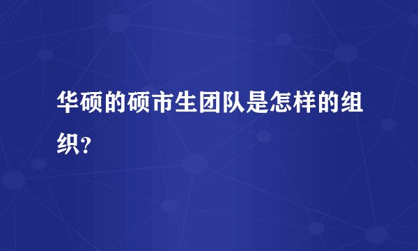 华硕的硕市生团队是怎样的组织？