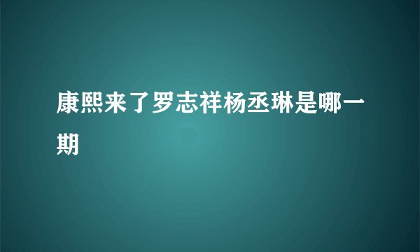 康熙来了罗志祥杨丞琳是哪一期