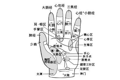小拇指上的经络图解