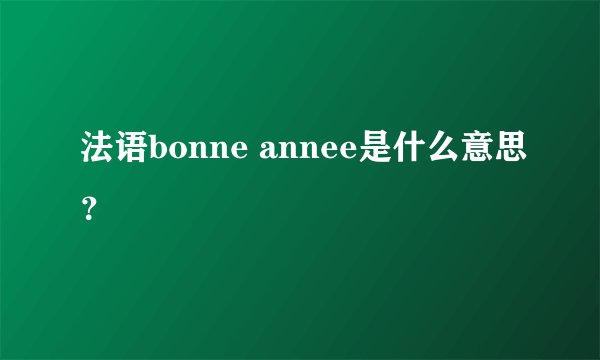 法语bonne annee是什么意思？