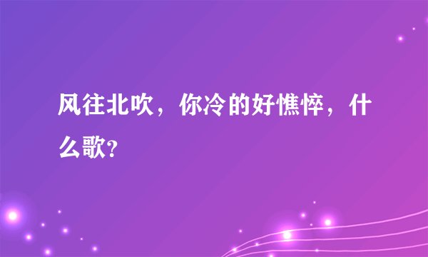 风往北吹,你冷的好憔悴,什么歌?