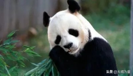 2019六一儿童节带孩子去哪玩？