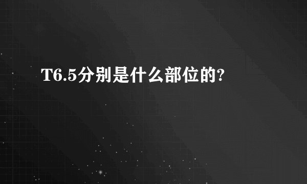 T6.5分别是什么部位的?