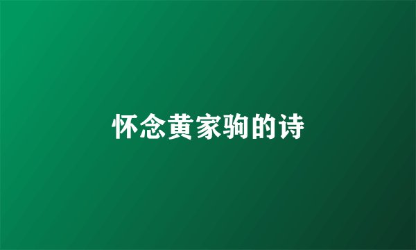 怀念黄家驹的诗