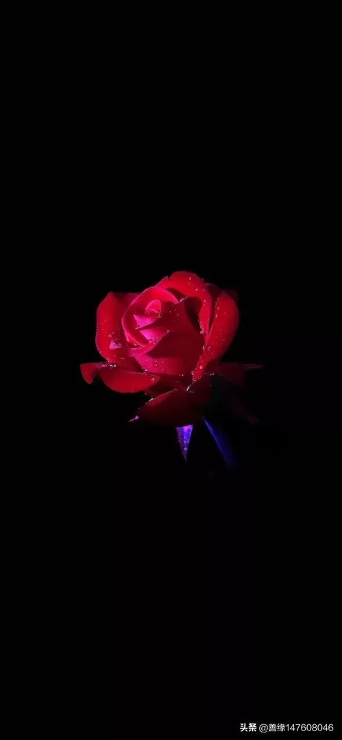 太爱一个人会离开