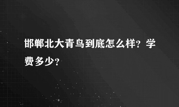 邯郸北大青鸟到底怎么样?学费多少?