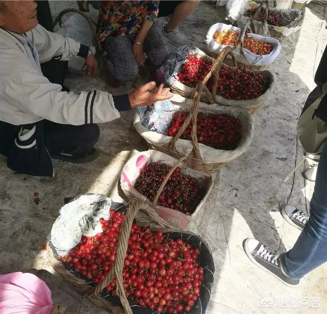 为什么现在大樱桃有卖一百元一斤的,网络里还有九十九五斤的?
