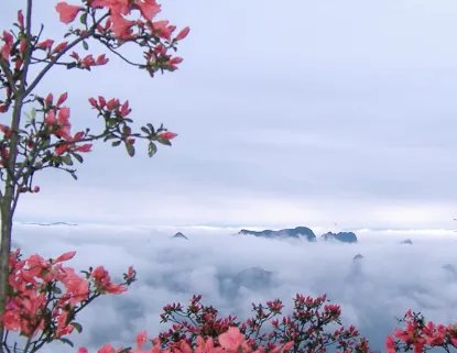 2014马年运程