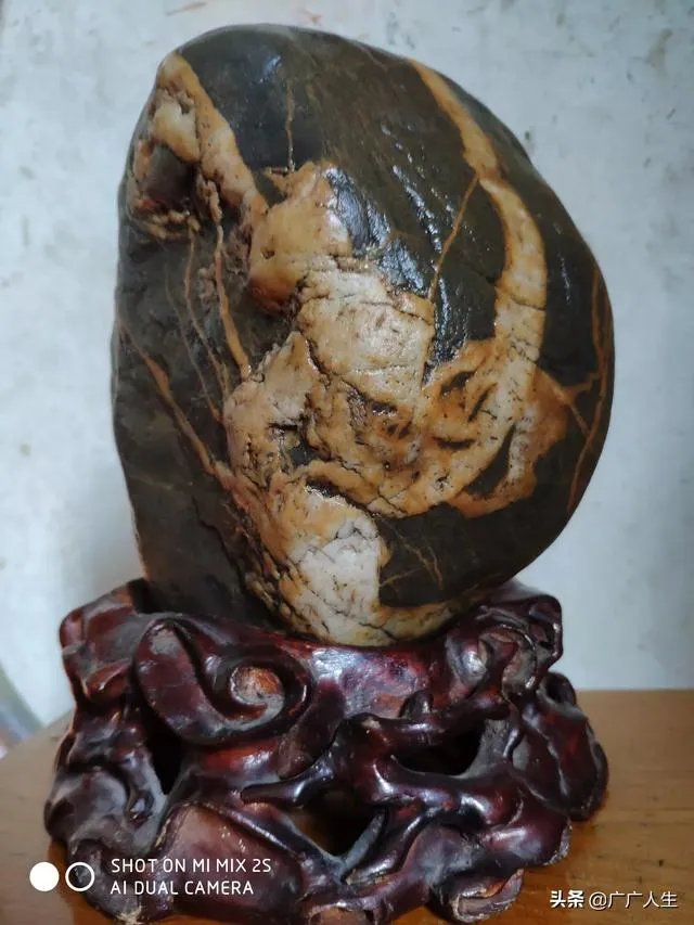 你喜欢到哪里捡奇石,收获如何?