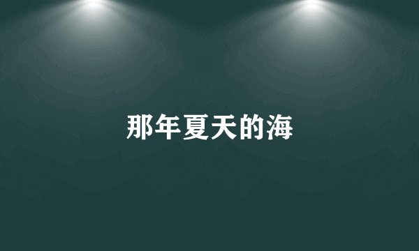 那年夏天的海