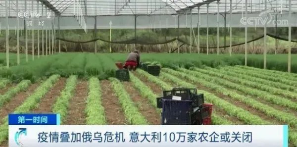 七国集团已拒绝以卢布结算俄罗斯能源，引发了怎样的连锁反应？