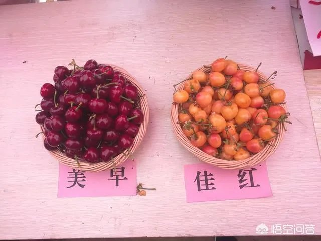 为什么现在大樱桃有卖一百元一斤的,网络里还有九十九五斤的?