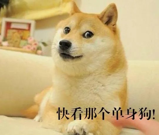 长期单身的姑娘有哪些特征?
