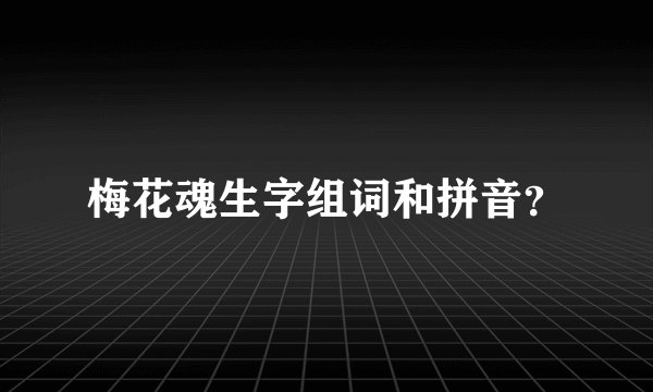 梅花魂生字组词和拼音？