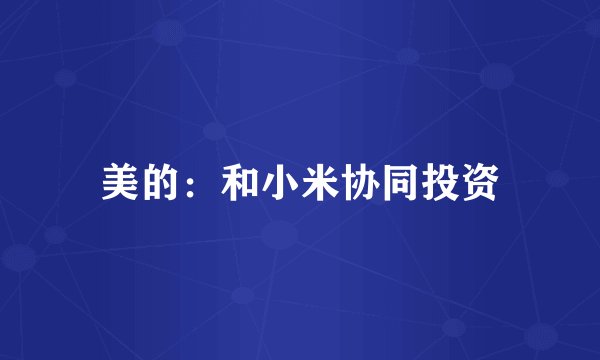 美的：和小米协同投资