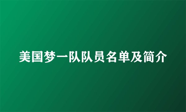 美国梦一队队员名单及简介