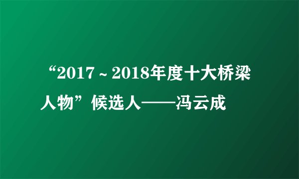 “2017~2018年度十大桥梁人物”候选人——冯云成