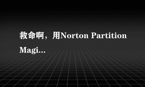 救命啊，用Norton PartitionMagic分区出现了严重后果