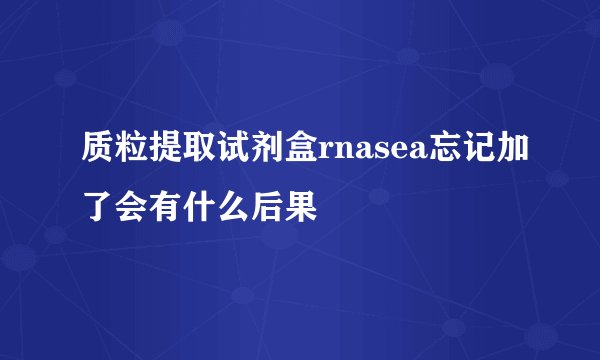 质粒提取试剂盒rnasea忘记加了会有什么后果