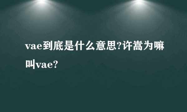 vae到底是什么意思?许嵩为嘛叫vae?