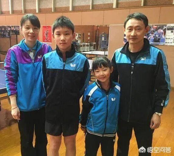 华裔兄妹虎视眈眈,欲来华参加乒超联赛,偷师学艺遭拒绝。你怎么看?