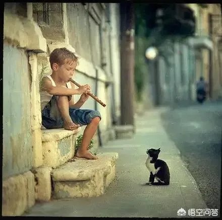 大家认为高俊芳的老公和儿子会判刑吗?