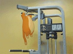 你为什么一个引体向上也做不了?