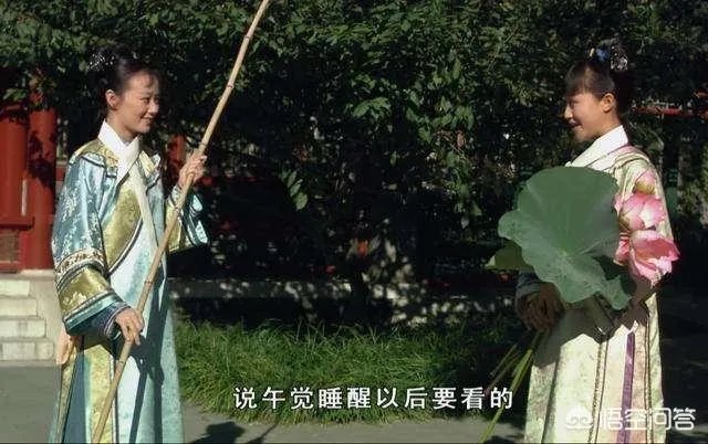 《甄嬛传》里大家最喜欢的角色是哪个?