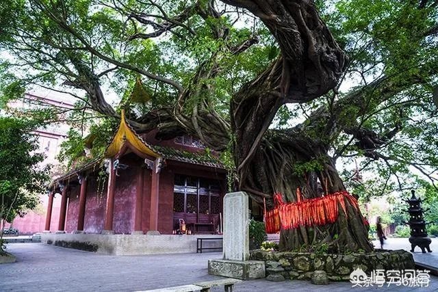 想从肇庆去英德自驾游2天,怎么安排行程?