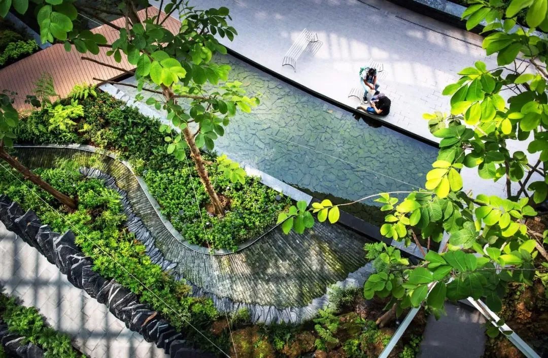 干货 | 庭院植物打造,营造十足空间感