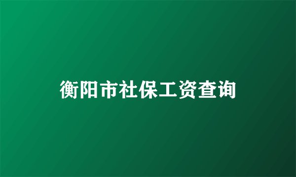 衡阳市社保工资查询