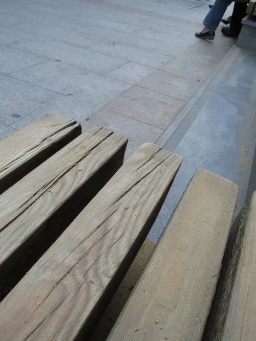 室外及微距样片展示