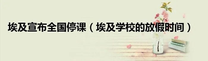 埃及宣布全国停课（埃及学校的放假时间）