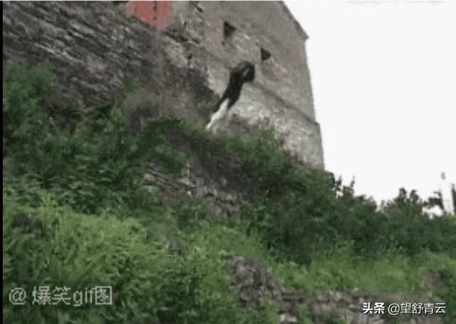 武当梯云纵到底是一种怎样的武功?