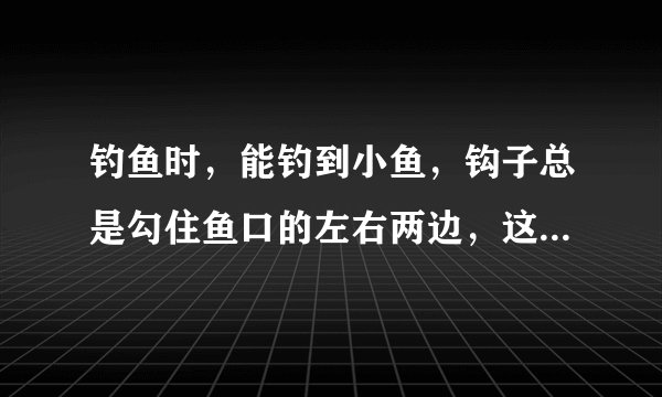 钓鱼时，能钓到小鱼，钩子总是勾住鱼口的左右两边，这是钓顿了还是怎么的了，该如何调整
