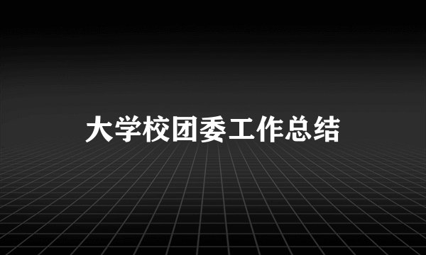 大学校团委工作总结