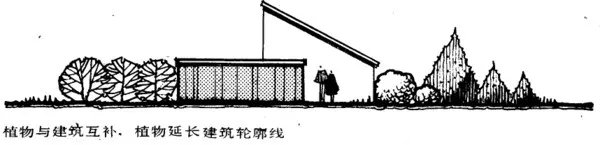干货 | 庭院植物打造,营造十足空间感