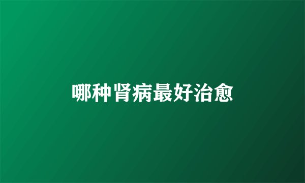 哪种肾病最好治愈
