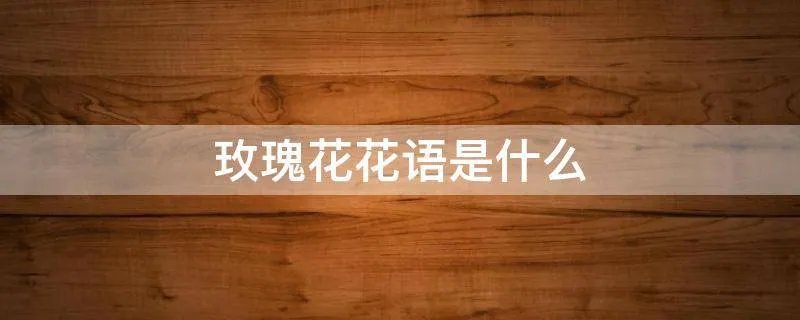 玫瑰花花语是什么